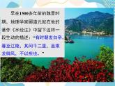 青岛版八年级数学上册 3.1分式的基本性质 课件 (共22张PPT)