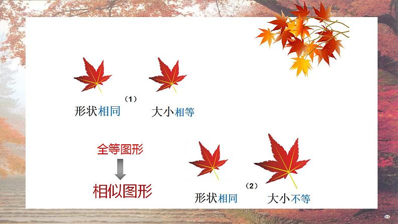 4.3+相似三角形+课件2021-2022学年+浙教版九年级数学上册++03