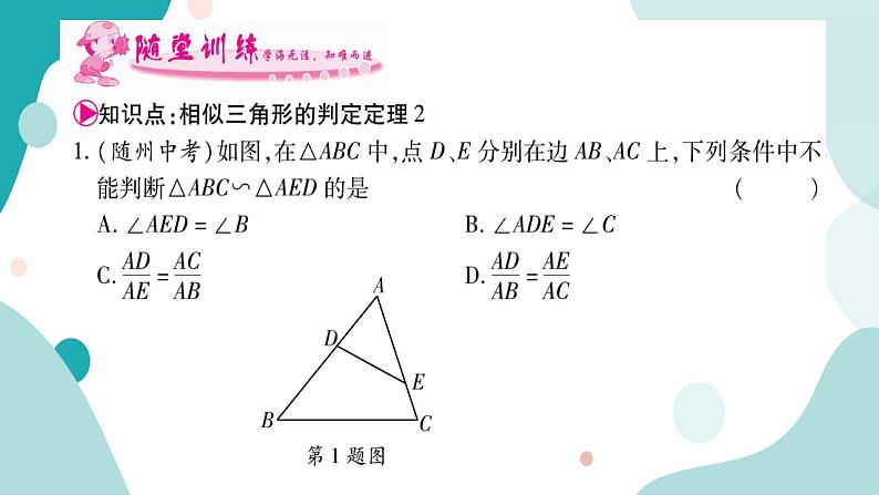 22.2.3 相似三角形的判定定理2（课件ppt）九年级上册数学教辅作业（沪科版）03