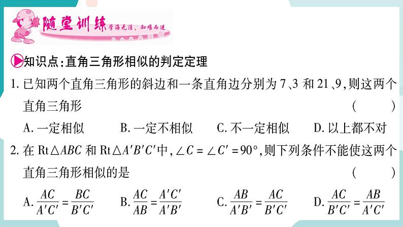 22.2.5 直角三角形相似的判定（课件ppt）九年级上册数学教辅作业（沪科版）03