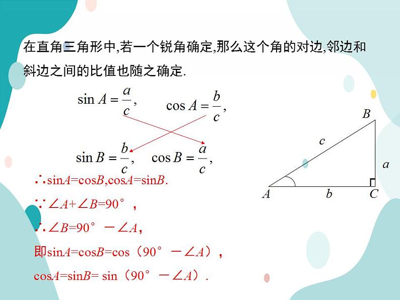23.1.2 第2课时 互余两角的三角函数值（课件ppt）九年级上册数学教材教学（沪科版）06