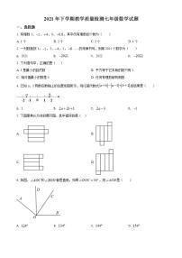 四川省乐山市峨边彝族自治县2021-2022学年七年级上学期期末数学试题(word版含答案)