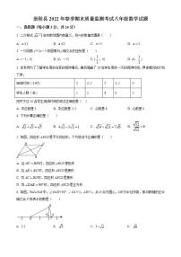 湖北省咸宁市崇阳县2021-2022学年八年级下学期期末数学试题(word版含答案)