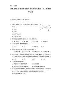 2021-2022学年山东省德州市乐陵市七年级（下）期末数学试卷（Word解析版）