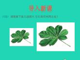 2022九年級(jí)數(shù)學(xué)上冊(cè)第25章圖形的相似25.7相似多邊形和圖形的位似第1課時(shí)課件新版冀教版