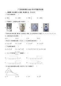 广东省深圳市2022年中考数学试卷(解析版)