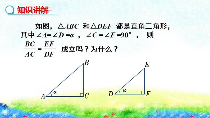 4.2正切课件+2022-2023学年湘教版九年级数学上册第4页