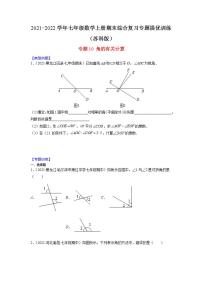 专题10 角的有关计算-2021-2022学年七年级数学上册期末综合复习专题提优训练（苏科版）