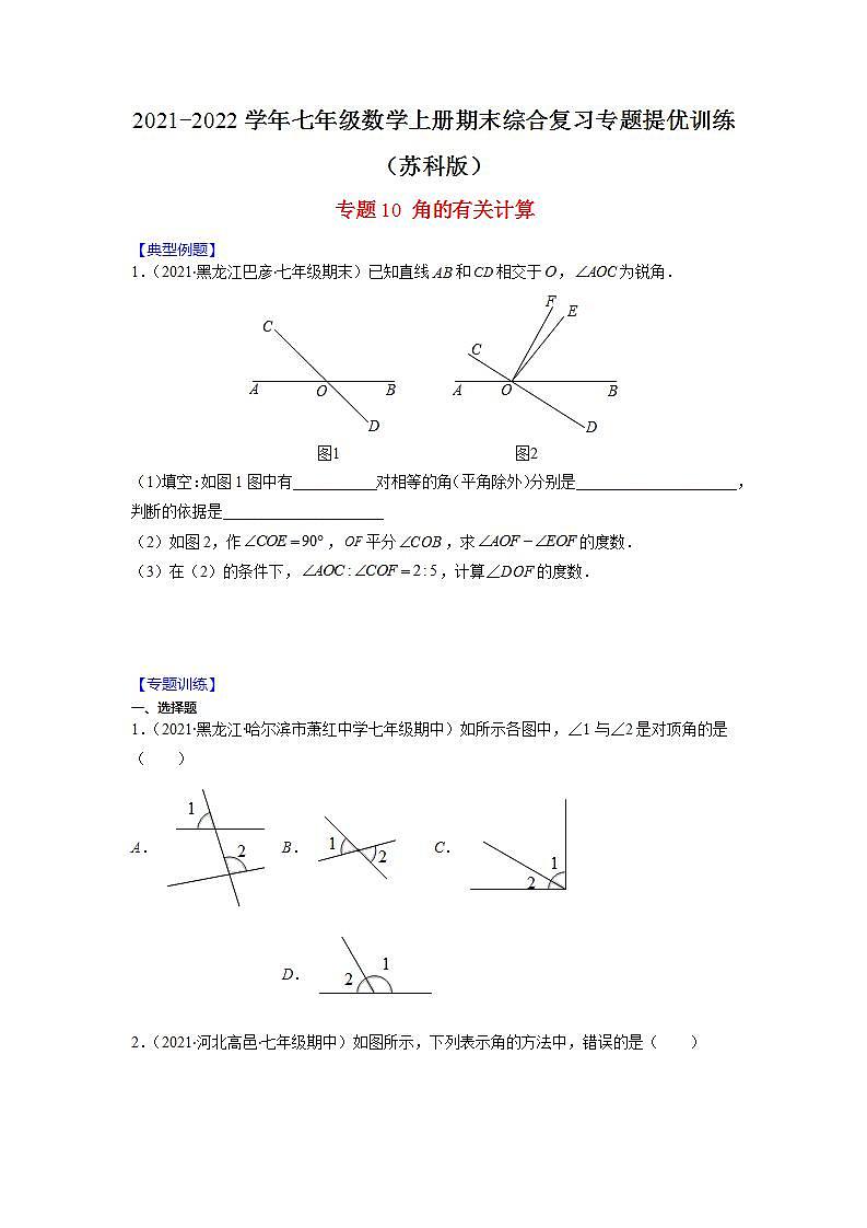 专题10 角的有关计算（原卷版）-2021-2022学年七年级数学上册期末综合复习专题提优训练（苏科版）第1页