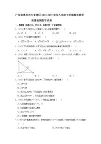 广东省惠州市大亚湾区2021-2022学年八年级下学期期末教学质量检测数学试卷(word版含答案)