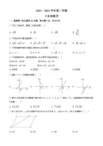 广东省韶关市新丰县2021-2022学年八年级下学期期末数学试题(word版含答案)