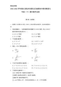 2021-2022学年浙江省杭州市萧山区高桥初中教育集团七年级（下）期中数学试卷（Word解析版）