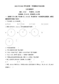 陕西省安康市紫阳县2021-2022学年九年级上学期期末考试数学试题（B卷）(word版含答案)