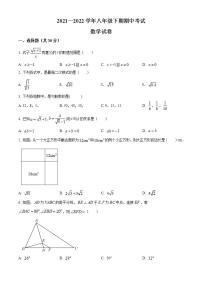 河南省济源市部分校2021-2022学年八年级下学期期中测试数学试题(word版含答案)