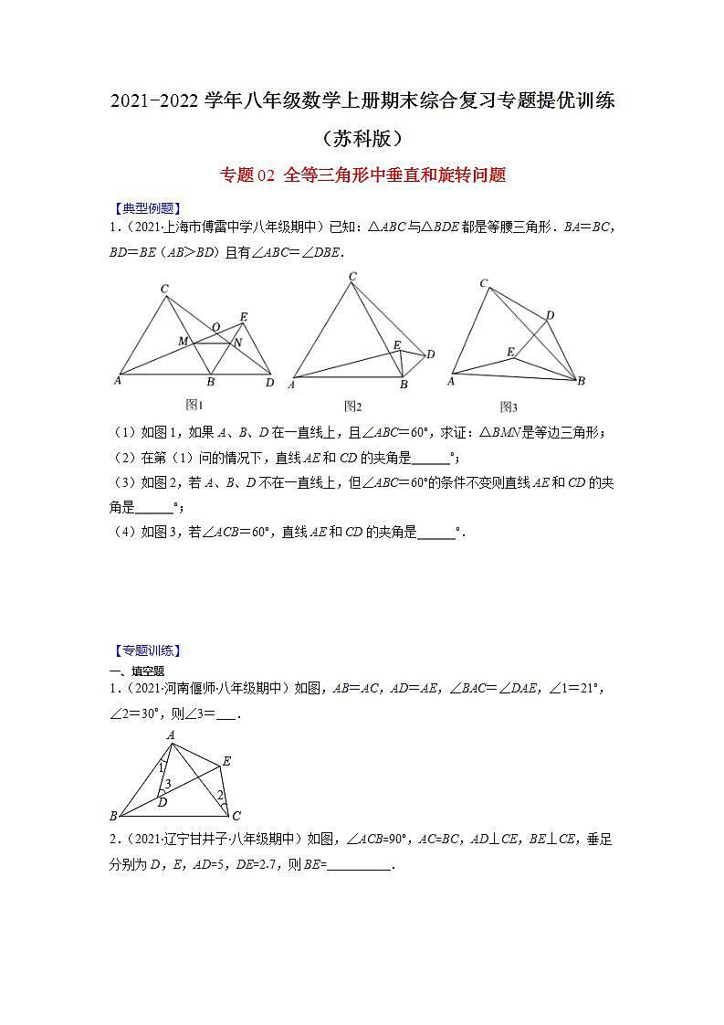 专题02 全等三角形中垂直和旋转问题（原卷版）-2021-2022学年八年级数学上册期末综合复习专题提优训练（苏科版）第1页