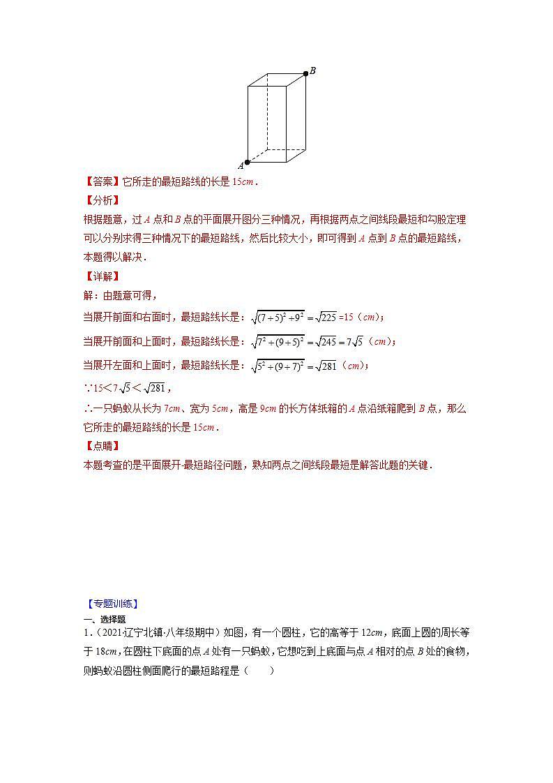 专题04 勾股定理中的面积、折叠、最短距离问题（解析版）-2021-2022学年八年级数学上册期末综合复习专题提优训练（苏科版）第3页