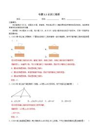 初中数学浙教版八年级上册1.1 认识三角形精品综合训练题