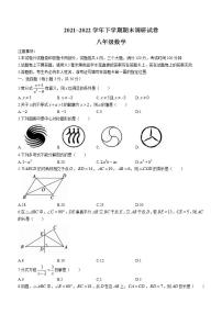 河南省平顶山市舞钢市2021-2022学年八年级下学期期末数学试题(word版含答案)