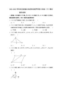 河北省衡水市武邑县武罗学校2021-2022学年八年级下学期期末数学试卷(word版含答案)