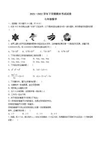 河南省平顶山市郏县2021-2022学年七年级下学期期末数学试题(word版含答案)