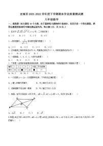 湖北省襄阳市宜城市2021-2022学年八年级下学期期末数学试题(word版含答案)