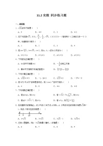 初中华师大版11.2 实数习题