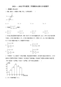 甘肃省陇南市康县2021-2022学年七年级下学期期末数学试题(word版含答案)