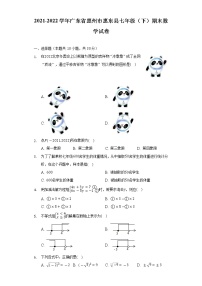 2021-2022学年广东省惠州市惠东县七年级（下）期末数学试卷-（Word解析版）