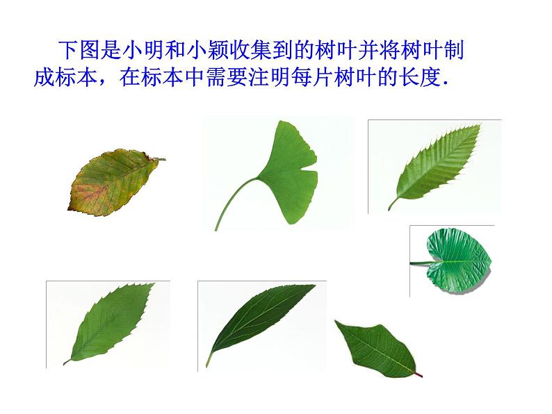 人教版七年级数学上册--1.5.3近似数-课件3第2页