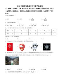 2022年湖南省娄底市中考数学真题（含解析）
