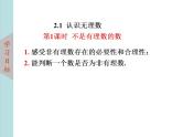 北师大版八年级数学上册 2.1认识无理数 第1课时课件PPT