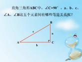 鲁教版 数学 九年级上册4 解直角三角形 课件（13张PPT）