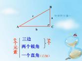 鲁教版 数学 九年级上册4 解直角三角形 课件（13张PPT）