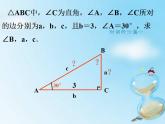 鲁教版 数学 九年级上册4 解直角三角形 课件（13张PPT）