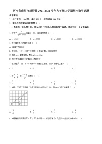 河南省南阳市新野县2021-2022学年九年级上学期期末数学试题(word版含答案)