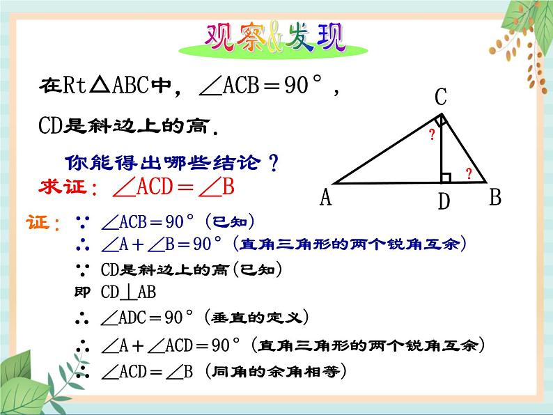 沪教版五四制数学八上19.8 《直角三角形的性质（1）》课件+教案04