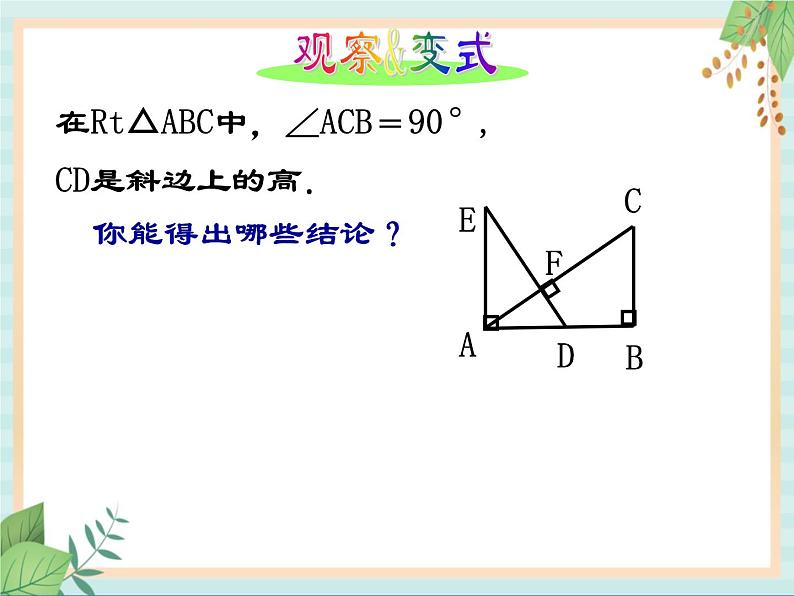 沪教版五四制数学八上19.8 《直角三角形的性质（1）》课件+教案05