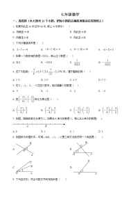 河北省石家庄市栾城区2021-2022学年七年级上学期期末数学试题(word版含答案)