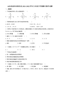 山东省滨州市阳信县2021-2022学年八年级下学期期中数学试题(word版含答案)