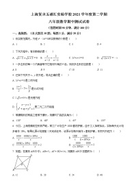 上海市上海复旦五浦汇实验学校2021-2022学年八年级下学期期中数学试题(word版含答案)