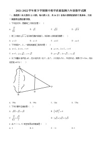 山东省临沂市沂南县2021-2022学年八年级下学期期中数学试题(word版含答案)