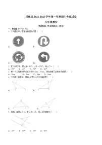 新疆维吾尔自治区喀什地区巴楚县2021-2022学年八年级上学期期中数学试题(word版无答案)