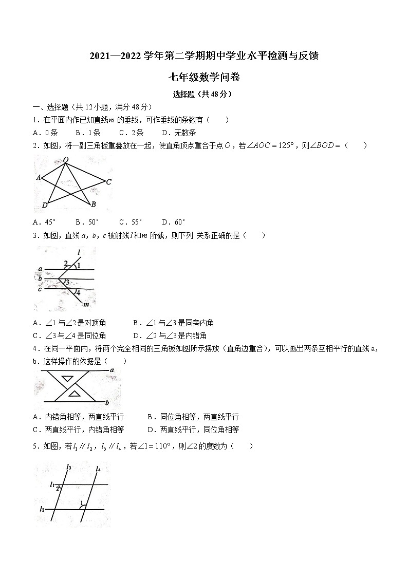 山东省聊城市阳谷县2021-2022学年七年级下学期期中数学试题(word版含答案)01