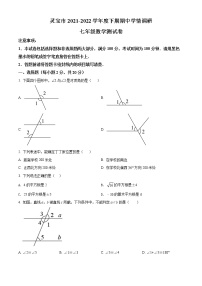 河南省三门峡市灵宝市2021-2022学年七年级下学期期中数学试题(word版含答案)