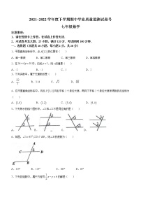 辽宁省大连市金普新区2021-2022学年下学期七年级数学期中试卷(word版含答案)