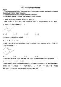 2022年内蒙古自治区呼伦贝尔市、兴安盟中考数学考试模拟冲刺卷含解析