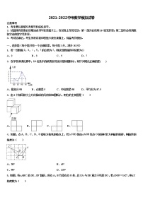 2022年内蒙古鄂伦春自治旗吉文中学中考数学模拟精编试卷含解析