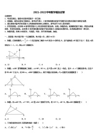 2022年山东省济宁市梁山县实验中学中考数学模试卷含解析