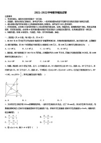 2022年山东省潍坊市昌乐中考数学模试卷含解析