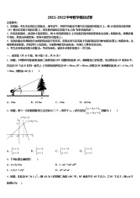 2022年浙江省乐清市育英寄宿校中考试题猜想数学试卷含解析